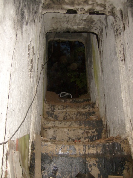 Statieji mokslininkų bunkerio laiptai